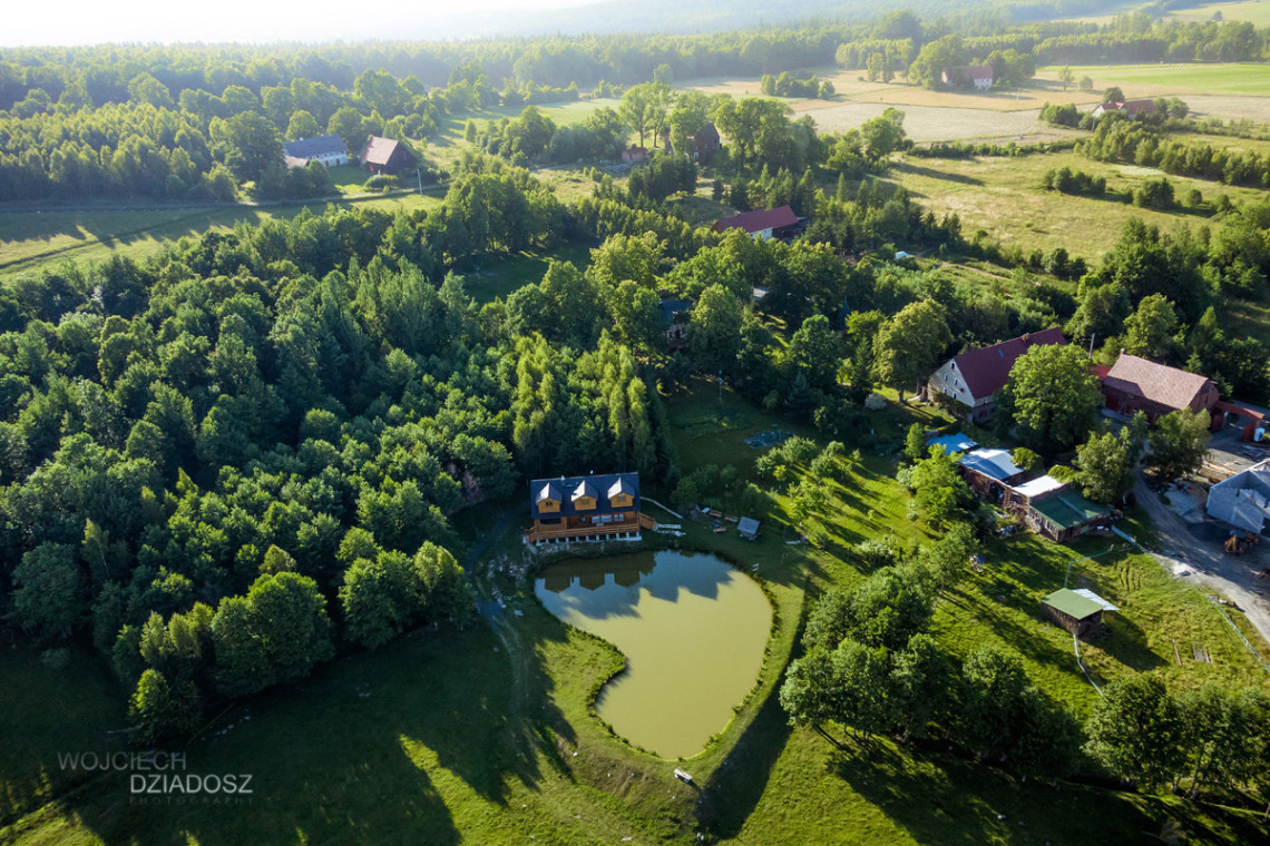 Fotografia wnętrz - zdjęcie wrzosowiska.