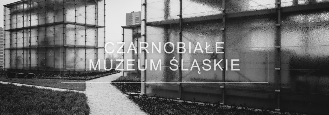 Zdjęcia architektury Muzeum Śląskie